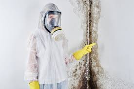 Best Forensic Mold Investigation  in Dulce, NM